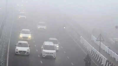 La Niña likely by year-end, may bring colder winter in India: Experts