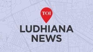 Cryptocurrency casino busted in Ludhiana, police call game over.