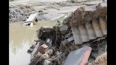 Flood toll rises to 56, crop loss spreads across 496 lakh acres in Punjab