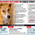 GMC set to carry out a stray survey, mass rabies vax drive