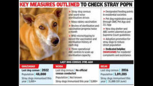 GMC set to carry out a stray survey, mass rabies vax drive