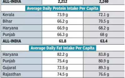 Punjab’s nutritional tale: Low cereal reliance, high fat intake, and moderate calorie sufficiency | Chandigarh News