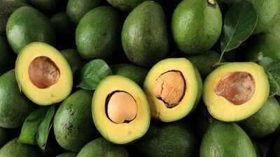 America allowed avocados from across Mexico under stricter inspection rules in 2016; farmers reduced routine chemical use and nearby nitrogen pollution fell about 10%
