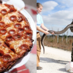 Bring a python, get a pizza: A Florida restaurant is giving away free 'python pizza' if you bring a Burmese python caught in the Everglades