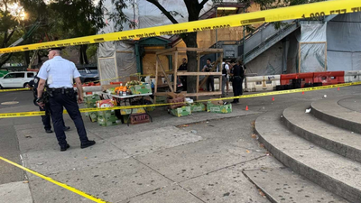 Video: 2 injured after gunman opens fire near New York subway station