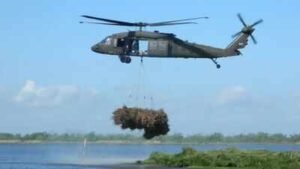 New Orleans collected 9,000 discarded Christmas trees and airlifted them into coastal wetlands; the programme has restored marsh equal to nearly 200 football fields