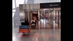 'Zero self-awareness': Indian-origin professor slams viral video of woman welcoming parents at US airport triggering wheelchair row
