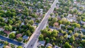 Chicago study links more urban tree cover to fewer deaths; adding 14,000 trees a year was tied to 105 fewer deaths