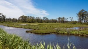 In 2015, a storm flooded and destroyed a Virginia wildlife refuge beach parking lot; now officials are moving it 2.5 miles north so dunes and saltmarsh can reclaim the old site