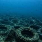 Florida dumped millions of tyres into the ocean to build a reef. More than 50 years later, it is still cleaning them up