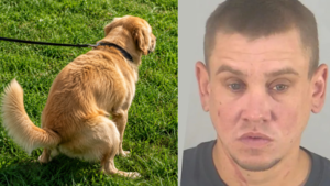 Florida man arrested after throwing dog poop at neighbour over uncleared mess and threatening him with a child’s scooter