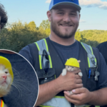 Ohio construction workers found a kitten trapped inside an excavator; now she has her own hard hat and a job working with them
