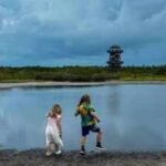 Florida spent about $17 million transforming degraded farmland near Tampa Bay into Robinson Preserve, a 700-acre coastal refuge that now draws about 240,000 visitors annually