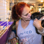 She lost a grandson and dozens of guinea pigs in a house fire; today, she runs a Massachusetts sanctuary caring for nearly 400 abandoned guinea pigs