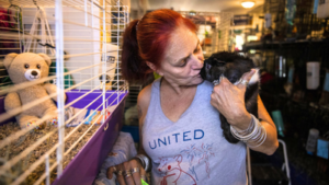 She lost a grandson and dozens of guinea pigs in a house fire; today, she runs a Massachusetts sanctuary caring for nearly 400 abandoned guinea pigs