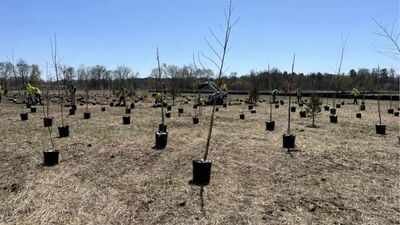 A 112-acre New Jersey restoration project is planting about 50,000 native trees and shrubs, creating vernal pools and rebuilding Raritan River floodplain habitat