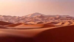 UAE is turning desert sand into eco-friendly bricks, and the method cuts  cement needed for construction to nearly half
