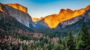A hidden wonder in Yosemite was disappearing for more than 100 years, in 2023, a massive restoration began filling a 3.5-mile erosion gully with 162,000 cubic yards of soil and woodchips, restoring 94 acres of lost wetlands
