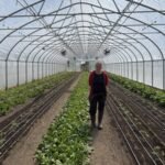 In 2010, a financially ruined couple started farming on leased land; after hitting $100,000 on one-third acre in New York, their farm now pushes nearly $700,000 a year from mostly 2.5 acres