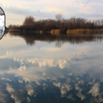In 1976, Buffalo turned a 264-acre industrial dump into a nature preserve; 50 years later, its 75-acre marsh is Erie County’s largest remnant wetland and 260+ bird species have been observed