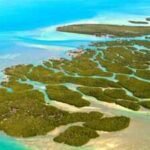 In 1956, a doctor bought a 7.9-acre Florida Keys island from the US at auction with residential zoning; 70 years later, his heirs won a decades-long fight over their right to build