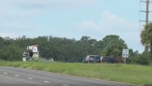 Mooney M20F small plane crashes near Florida airport; pilot killed