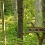 An anonymous donor gave Cincinnati $1.8 million to restore 228 acres of forest; the 5-year project is the city's biggest park reforestation effort in nearly 100 years