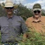 Two friends bought a 225-acre overgrazed Texas ranch that could support little beyond cattle; after restoring 100+ acres of prairie, planting 3,000 sand plums and adding a 5-acre wetland, wildlife returned