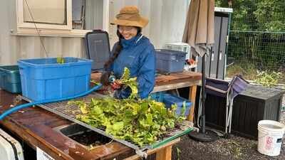​Meet Apollin Lu, the 17-year-old British Columbia student who mobilised 140+ volunteers to rescue nearly 9,000 pounds of farm produce