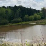 An Atlanta teacher spent years warning students away from a locked 26-acre forest outside their school; community organizing has now secured $3 million to begin turning the hidden city land into a public park