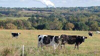 A Pennsylvania couple bought 78.3 acres in 2022 to stop development; their conservation work has helped eliminate plans for 88 houses and 21 condos