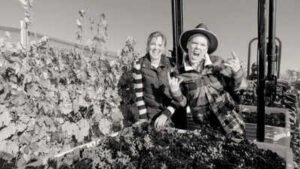 In 2013, Pink paid nearly $9 million for a 200-acre California ranch with a 10,000-sq-ft home; 13 years later, the estate has become a working organic vineyard producing her Two Wolves wine