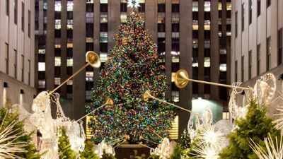 Since 2007, New York's Rockefeller Center Christmas tree has been milled into lumber after the holidays; the wood has helped build Habitat homes from New York to Mississippi