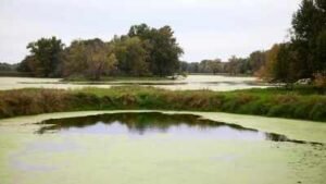 A Wisconsin farming family fought a 2016 tax change as nearly 2,000 floodplain acres became harder to farm; 10 years later, the land is being permanently protected