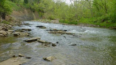 A Kentucky woman spent 35 years turning 45 acres into a nature preserve; now a nearly $40 million sewer project has secured seven easements across her land through eminent domain, triggering fresh county scrutiny