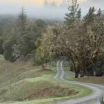In 1914, a California family bought what became the 6,625-acre Kinsey Ranch; 112 years later, after one brother pushed to protect it before his death, the entire working cattle ranch is now permanently protected from development