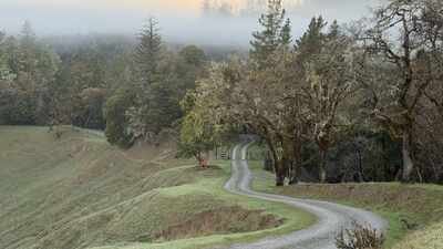 In 1914, a California family bought what became the 6,625-acre Kinsey Ranch; 112 years later, after one brother pushed to protect it before his death, the entire working cattle ranch is now permanently protected from development