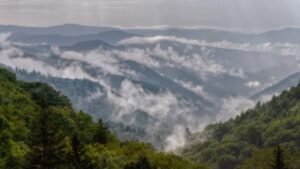 In 1928, supporters had raised $5 million for Great Smoky Mountains National Park but rising land prices stalled the effort; a Rockefeller memorial fund matched it with another $5 million, helping make the park possible