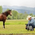 A Colorado ranch homesteaded before statehood stayed with the same family for six generations; more than 150 years later, 650 of its roughly 700 acres were permanently protected from subdivision