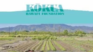 In 2019, Jack Johnson's foundation bought neglected farmland in Hawaii; six years later, it reported over 40,000 pounds of produce harvested and more than 2,200 students welcomed on field trips