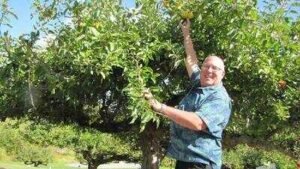 In 2012, a retired FBI agent began searching for ‘lost’ apples; more than a decade later, his mission has helped rediscover 30 forgotten varieties across the Pacific Northwest