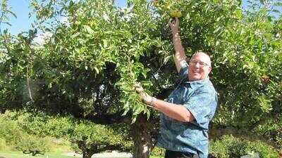 In 2012, a retired FBI agent began searching for ‘lost’ apples; more than a decade later, his mission has helped rediscover 30 forgotten varieties across the Pacific Northwest
