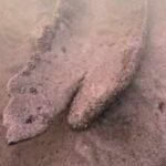 Wisconsin diver Mark Schachtner was searching Pewaukee Lake for old bottles when he spotted a 17-foot canoe 15 feet underwater; radiocarbon dating has now confirmed it is about 1,000 years old
